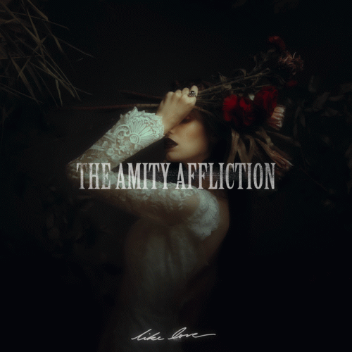 The Amity Affliction : Like Love